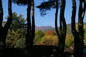 Brookside Mountain Mist Inn - Image 3