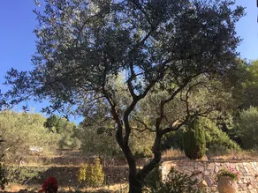 Le Clos En Provence - Image 3