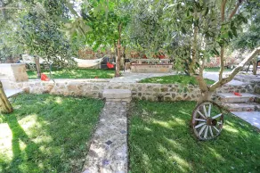 House Bongo - Image 3