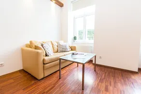 Premium Apartments - Am Belvedere - Image 1