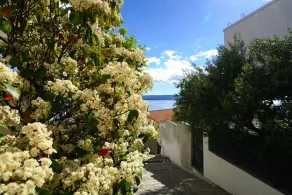 Apartment Lile - 3 bedrooms - Image 2