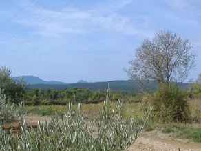 Detached holiday home near the truffle capital of Aups, with a shared swimming pool - Image 5