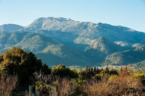 CAN SITO DES MORULL - Image 4