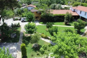 Oranj Ranch (Orange & Ranch) - Image 3
