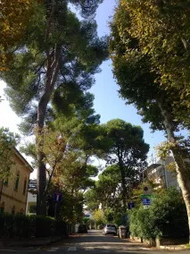 Hotel Solitude Riccione - Image 5