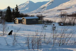 Silva Holiday Home - Image 4