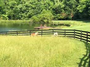 Willow Bend Farm - Image 3