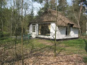 Well Furnished Bungalow, Surrounded by Nature - Image 5