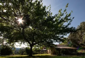 Casa Paola - Image 5