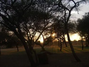 Golden Leopards - Manyane Resort - Image 2