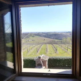 Agriturismo Le Rote - Image 3