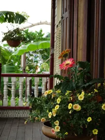 A 2 Tiempos Bed and Breakfast - Image 4