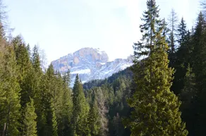 Casa del bosco - Image 5