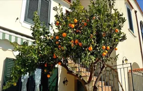 Casa Annalisa - Image 5