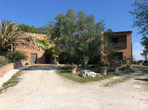 Il Podere Degli Ulivi - Image 4
