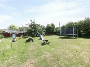 Linney - Image 5