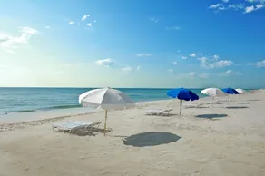 Miami Beach Resort & Spa - Image 4