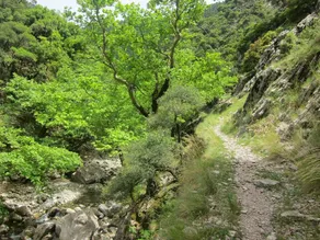 Oreini Nafpaktia Houses - Image 3