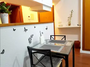 Studio in Madrid, With Wonderful City View, Balcony and Wifi - Image 2