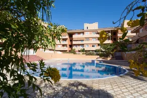 Live Puertito Karateca - Image 5