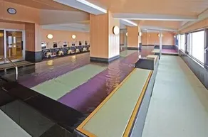 Izu Atagawa Hot Spring Family Hotel, Kaishunro - Image 4