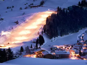 Peaceful Holiday Home in Leogang With Garden - Image 5