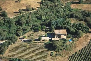 Piombaia - Image 5