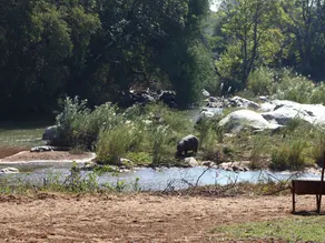 Ekuthuleni River Front Chalets - Image 3