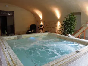 Hotel Chateau de Verrieres & Spa Saumur - Image 4
