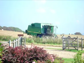 Hermitage Court Farm - Image 2
