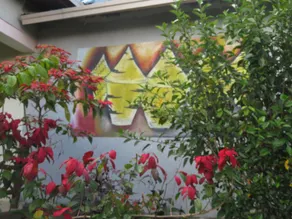 Filon Dor Guesthouse and Campsite - Image 4