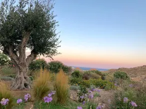 Villa Aggelina - Image 4