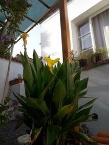 Madra House - Image 3