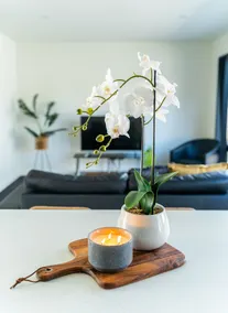 Punchbowl Executive Apartments - Image 5