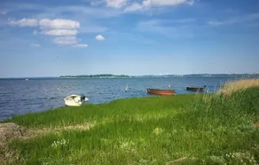 Strandhafer - Image 2