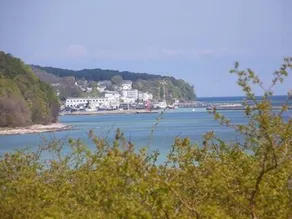 Fewo-am-Feldrain-auf-NW-Ruegen - Image 4