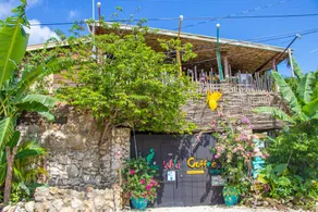 Wild Coffee Retreats - Image 2