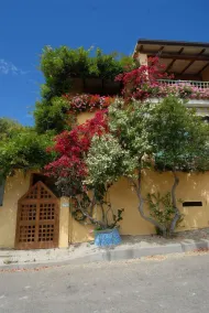 Chicca Di Francesca- Santa Teresa - Image 3