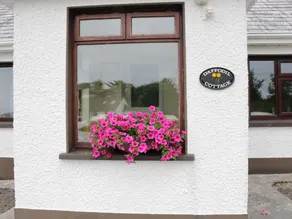 Daffodil Cottage - Image 5
