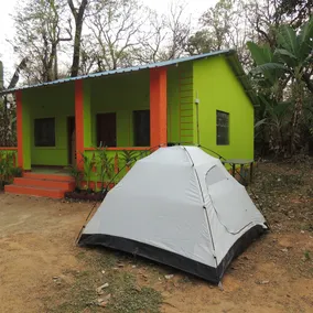 Dandeli Mysa KV - Image 5