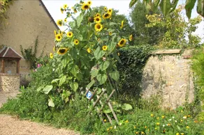L'Orangerie Du Perche - Image 3