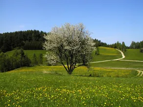 Gasthof Einfalt - Image 3