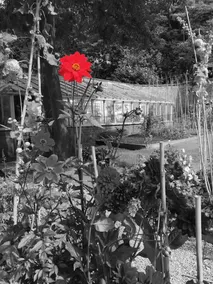 Welton Lodge - Image 2