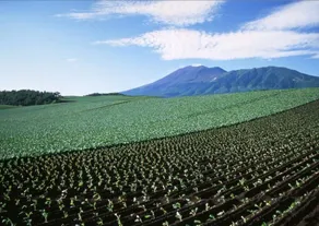 Kyukamura Tsumagoi-Kazawa - Image 5