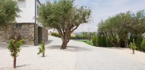 Domaine Casa Valenca - Image 5