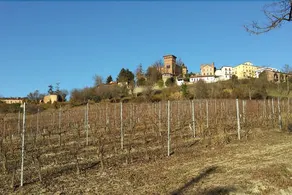 La Casa Del The in Monferrato - Image 2