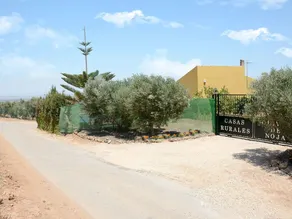 Los Olivos De Noja - Image 3