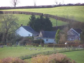 Barn Owl Cottage - Image 2