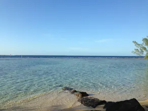 Tamanu - Image 3