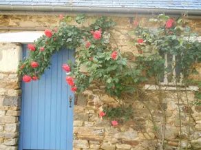 Au Presbytère de Dagmar Chambres d´Hôtes - Image 4